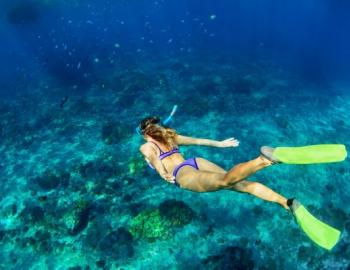 grayton beach snorkeling