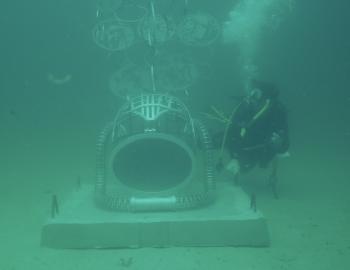A diver explores the underwater museum! 