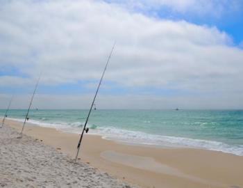 surf fishing in 30a