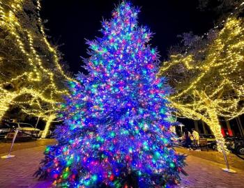 tree_lighting_rosemary_beach