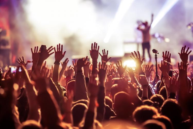 Crowd at concert.