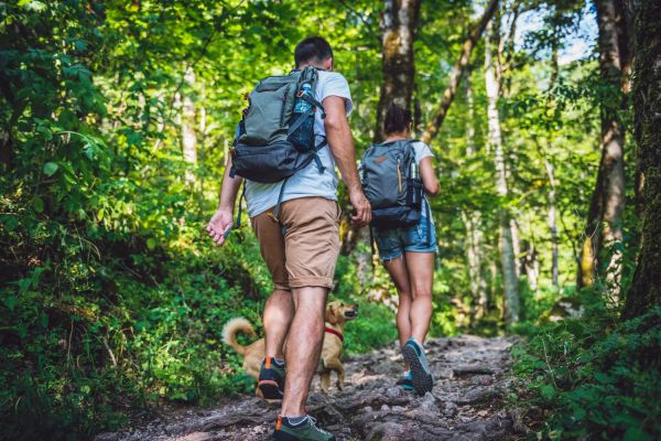 eco tours in 30a