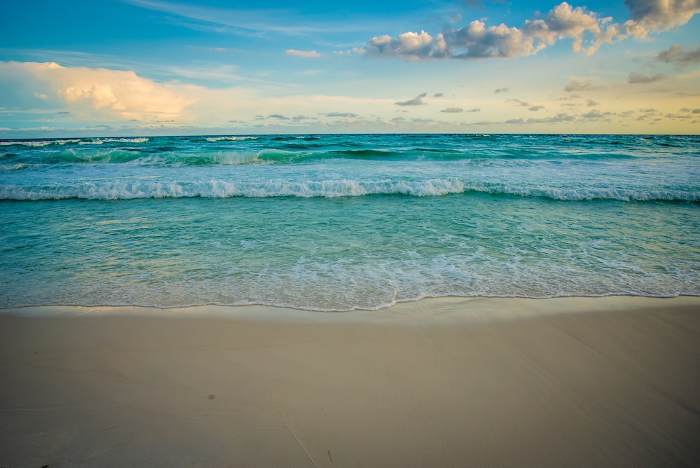 The beach