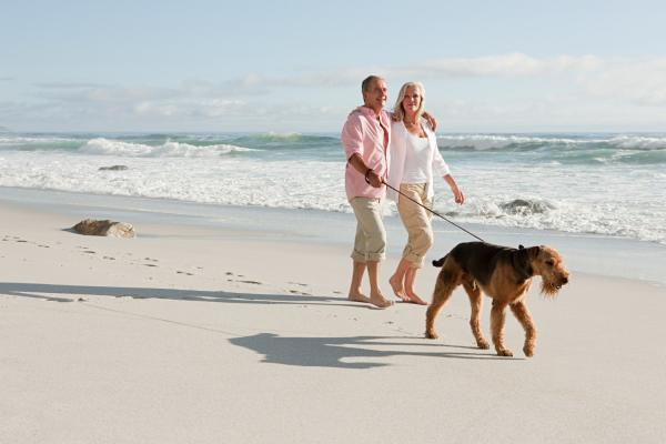 santa rosa beach dog rules