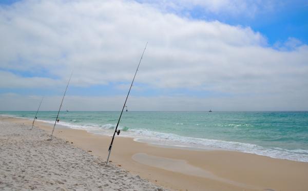 surf fishing in 30a